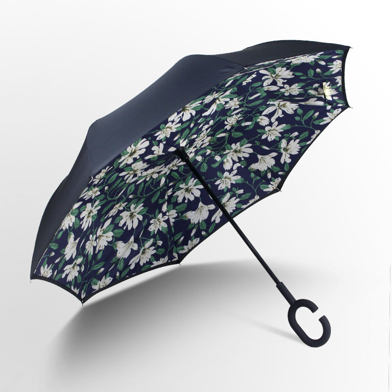 Car reverse umbrella
