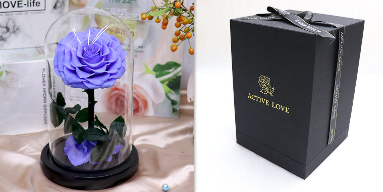 Glass Cover Tanabata Valentine's Day Immortal Rose Gift
