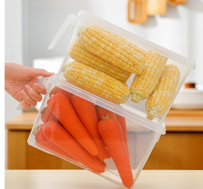 Refrigerator Hand - Held Multigrain Storage Box With Handle
