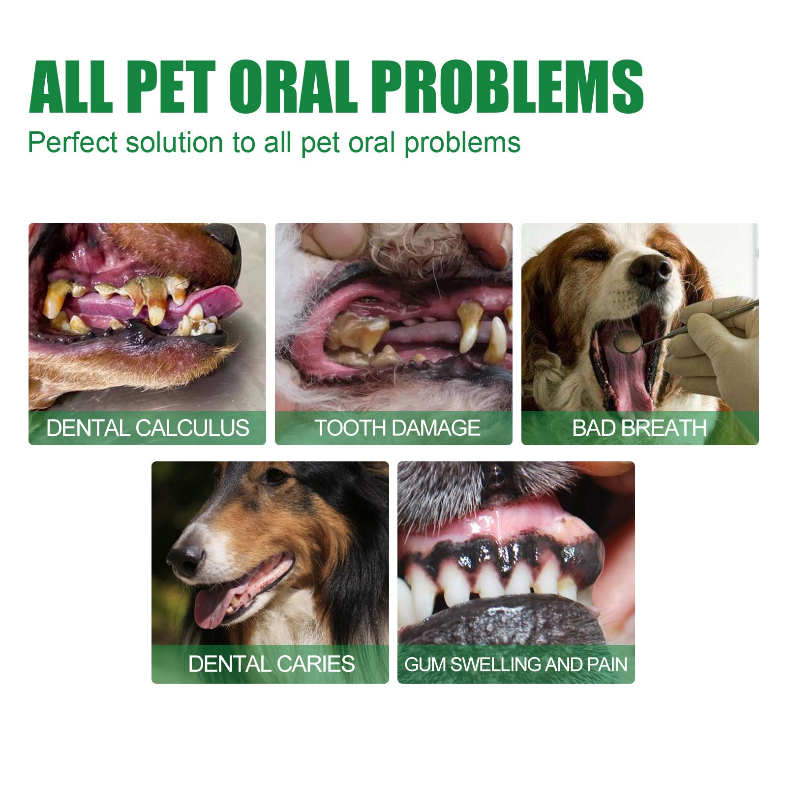 Pet Teeth Deodorant Spray Deodorant Oral Cleaning