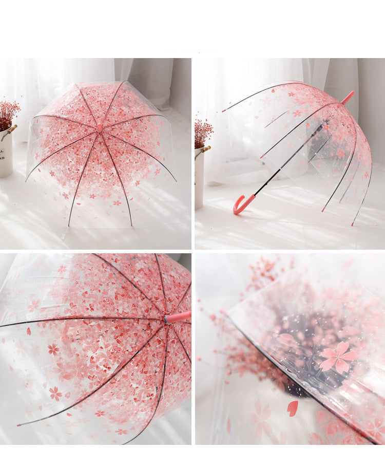 Long Handle Automatic Transparent Umbrella Female Creative Small Fresh