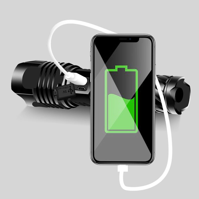 Double switch strong light flashlight