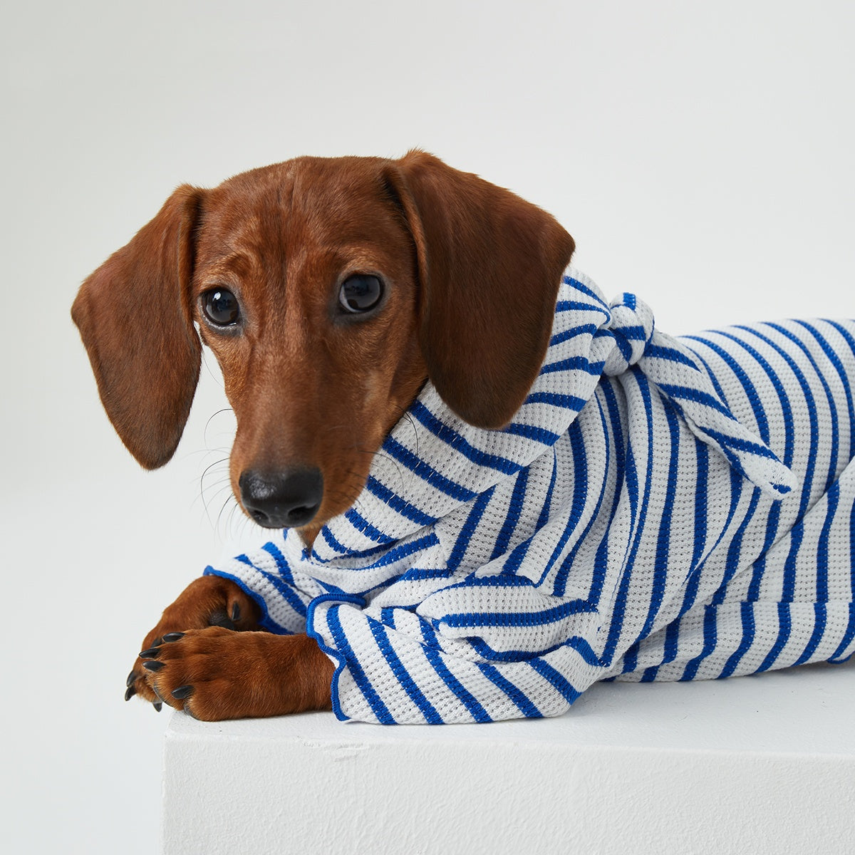 Dog Cat Pet Clothes Striped Hooded CAT Two Feet Apparel
