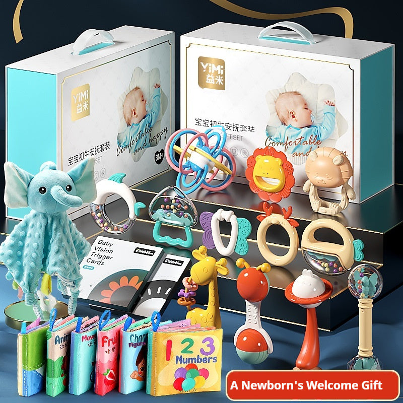 Jouet à clochette à manivelle pour bébé, coffret cadeau de naissance, cadeau d'anniversaire