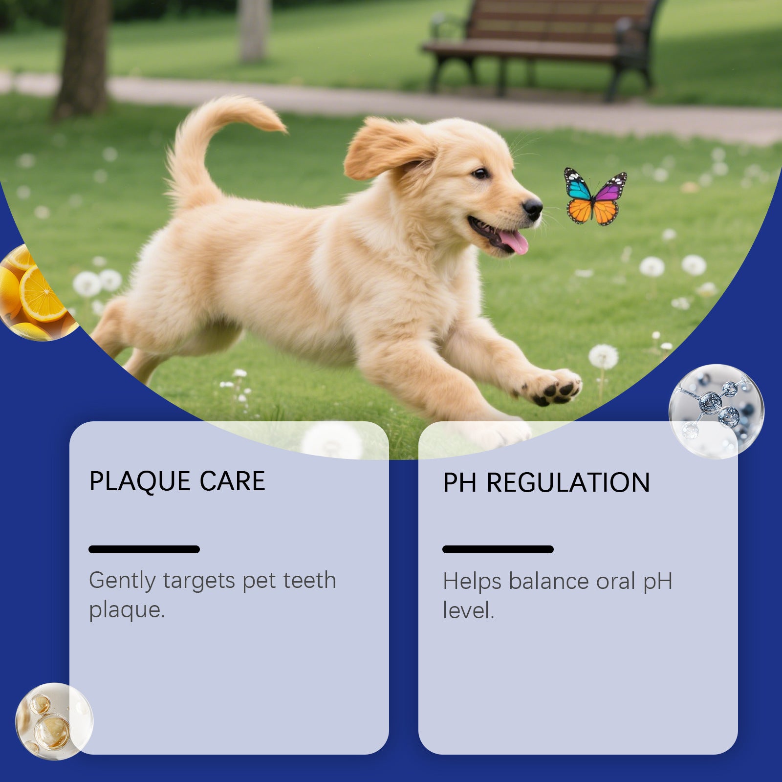 Pet Tooth Cleaning Powder