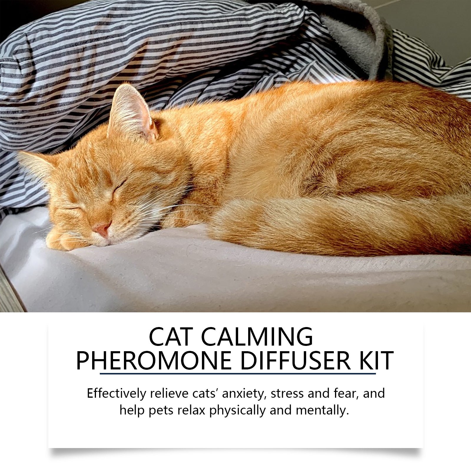 Pet Cat Irritability Care Solution