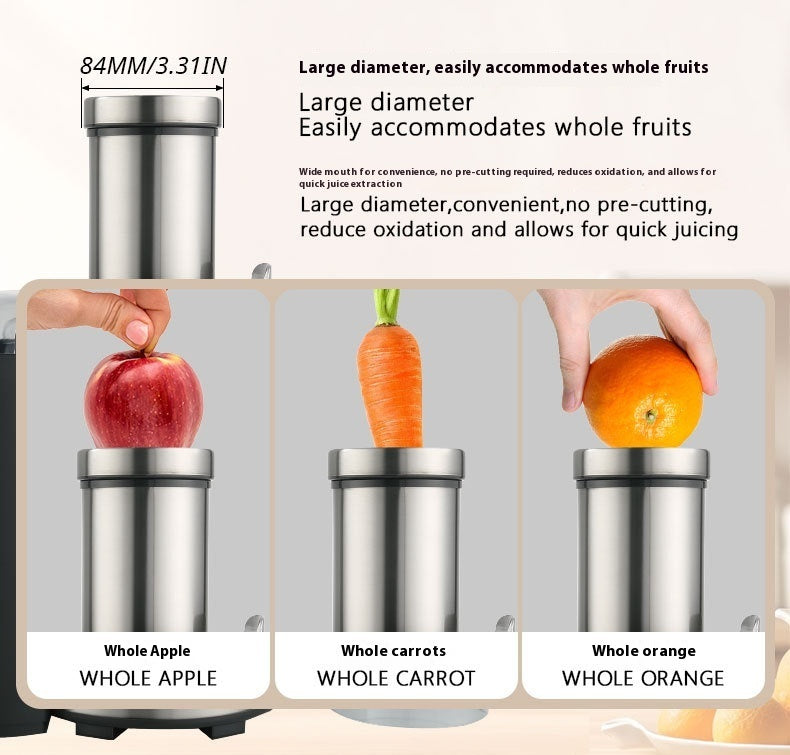 Machine à fruits centrifugeuse pour la séparation du jus de laitier à grand diamètre