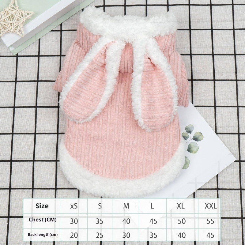 Fashion Personalized Thickened PET Polyester Clothes