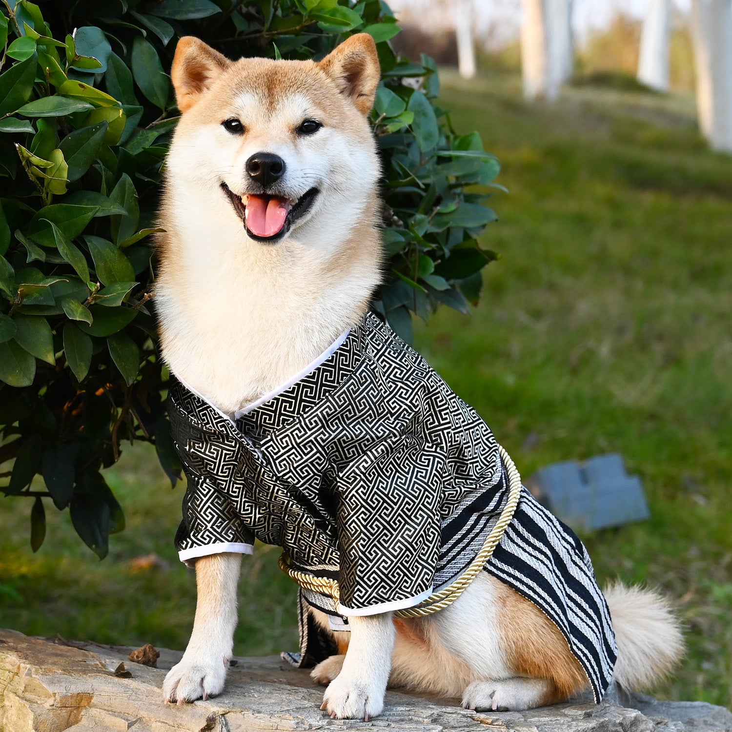 New Pet Dog Samurai Zephyr Clothes