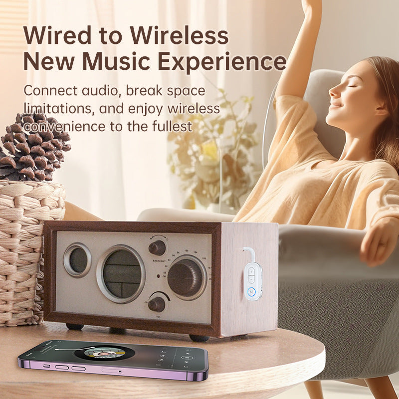 2-in-1 Bluetooth 53 Audio Adapter
