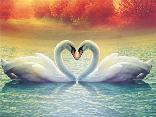 DIY diamond painting embroidery swan