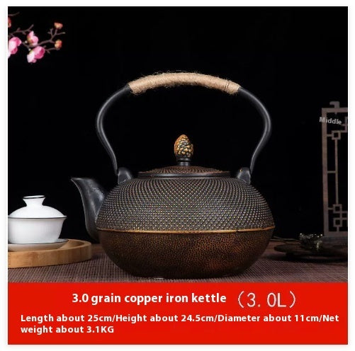 Antique Cast Iron Teapot Making Tea Single Pot
