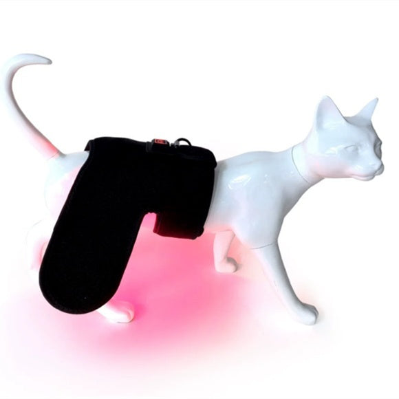 Pet Red Light Physiotherapy Mat For Post-Surgery Recovery Pain Relief And Spinal Care In Cats And Dogs