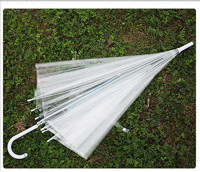Color Transparent Umbrella Straight Pole Automatic