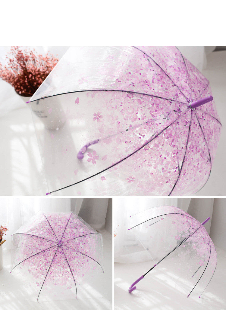 Long Handle Automatic Transparent Umbrella Female Creative Small Fresh