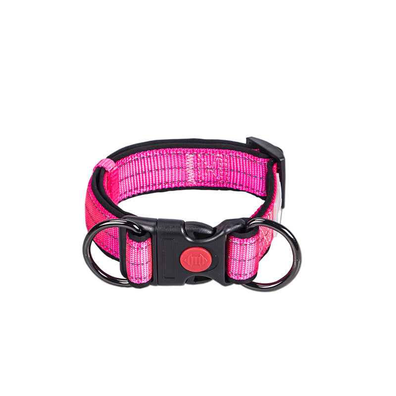 Collared Dog Small Dog Medium And Large Leash