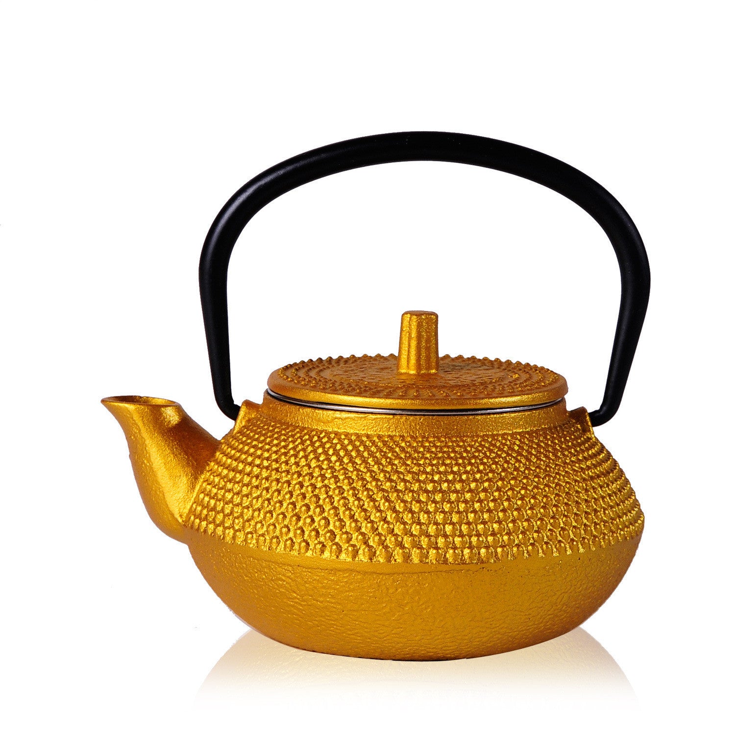 Kung Fu Teapot Iron Pot