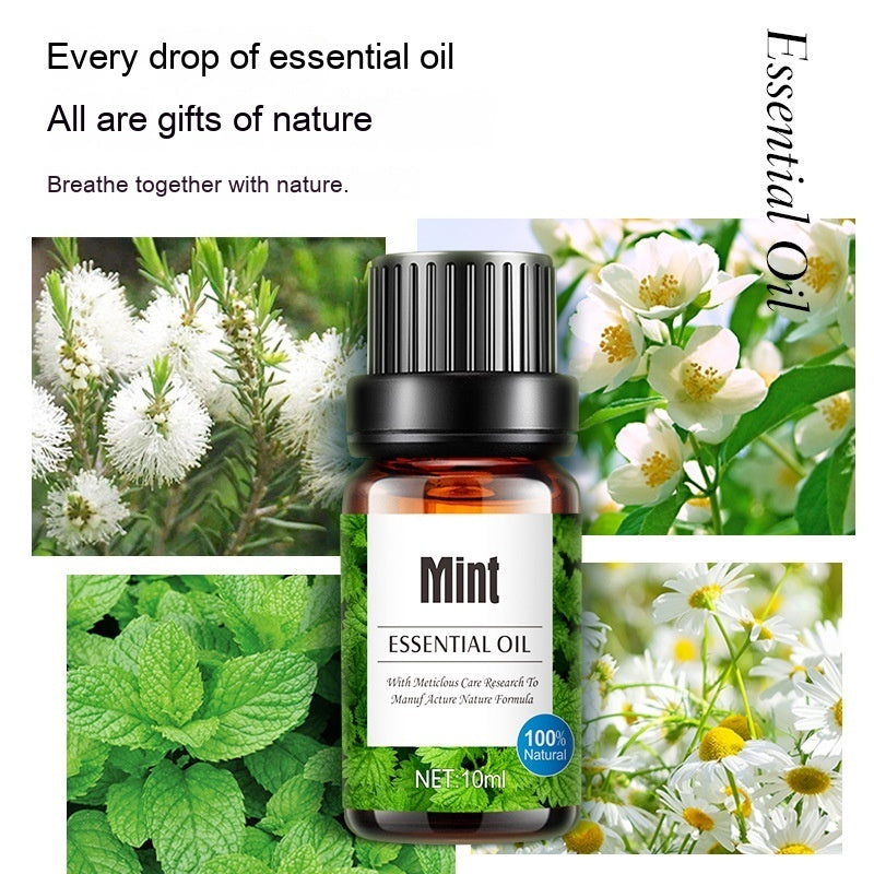 Water Soluble Lavender Plant Aromatherapy Humidifier Specific