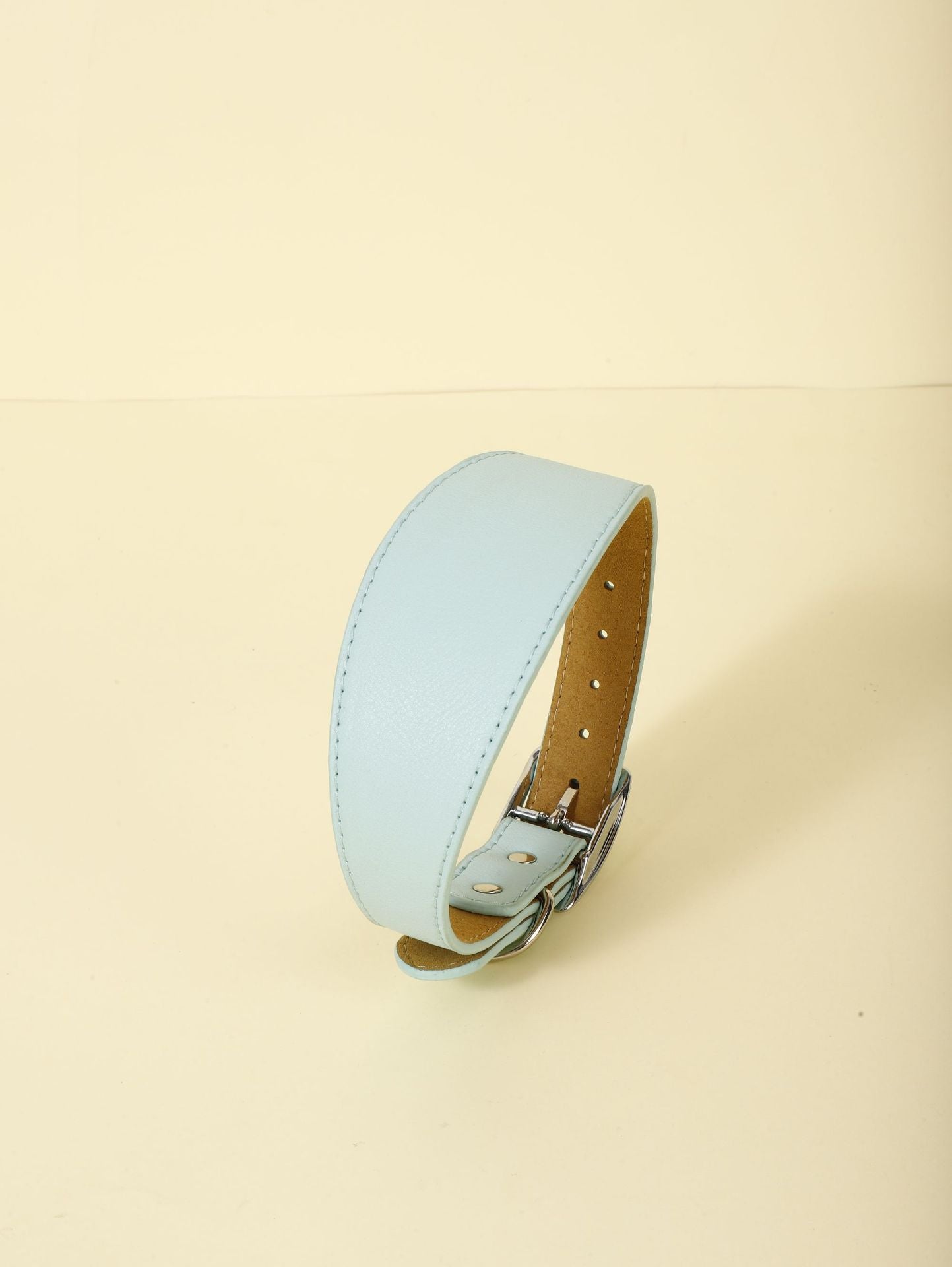 New Pet Casual Adjustable Collar