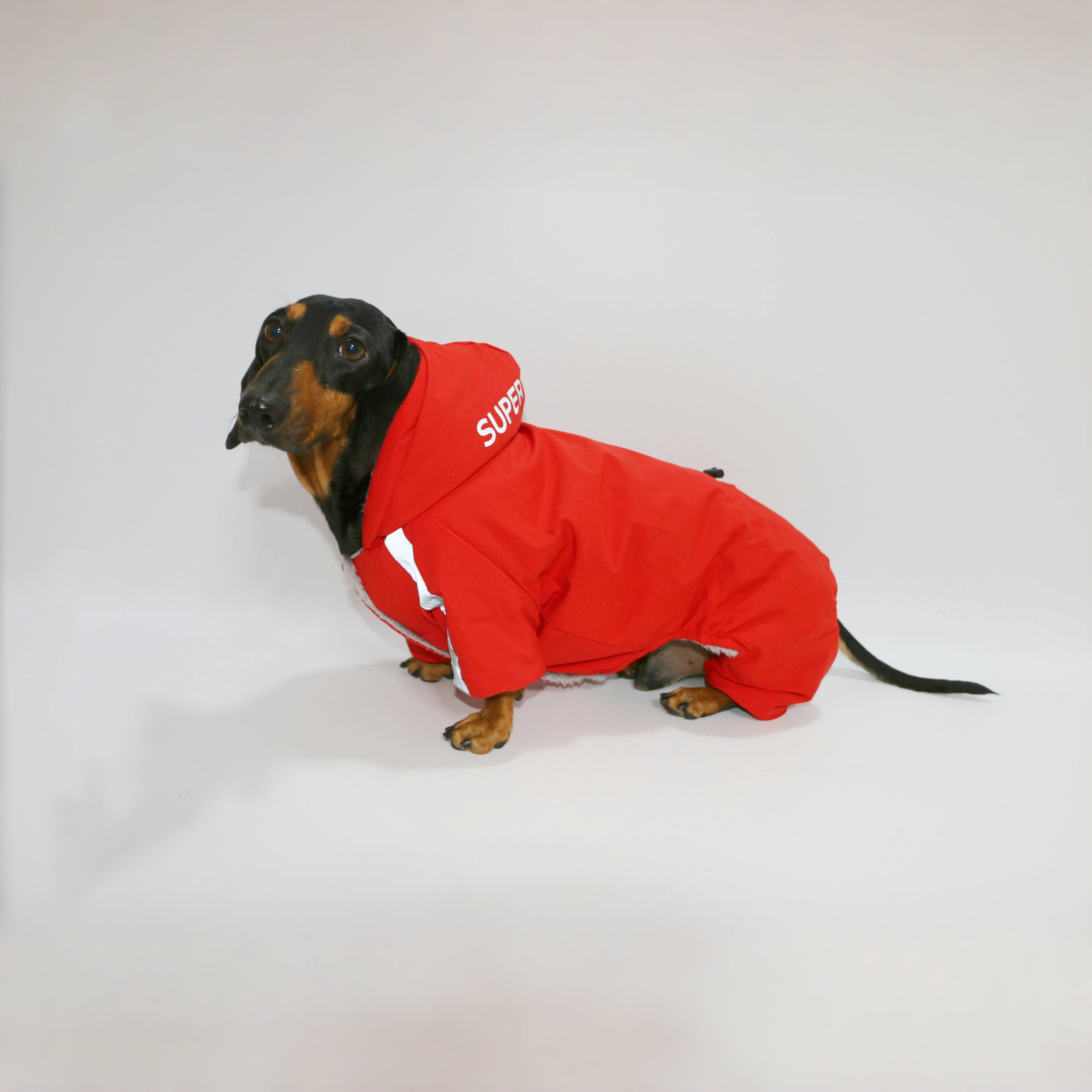 Dog Cat Pet Clothes Winter Warm Reflective Outdoor Four-legged Pet Clothing