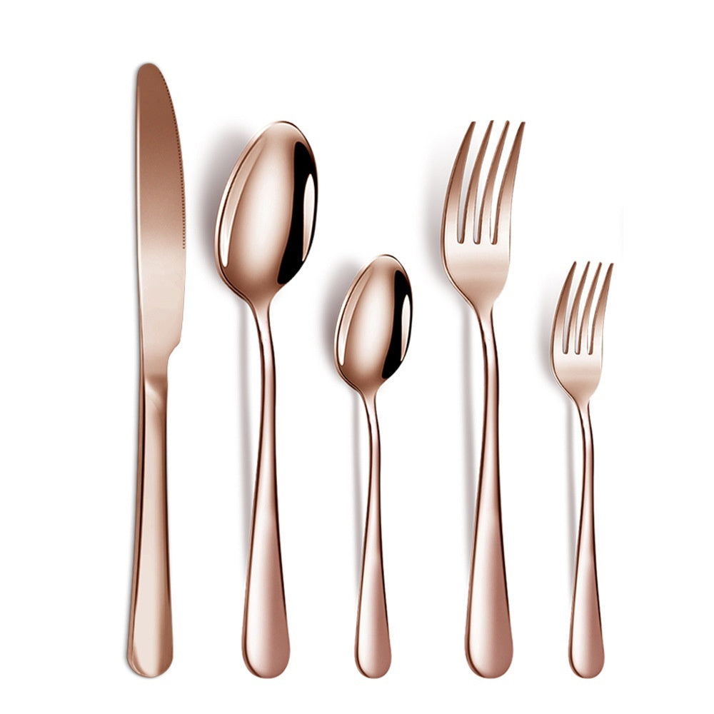 Stainless Steel Tableware Suit 5-piece Set