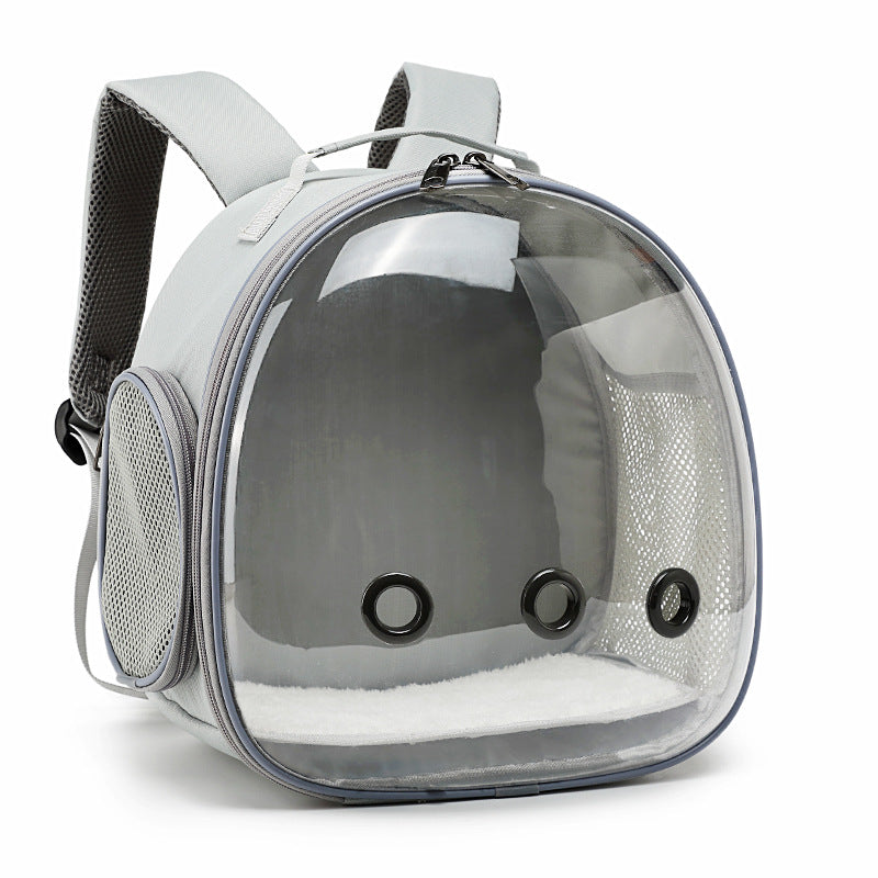 Sac à dos de transport pour animaux de compagnie, sac à dos transparent pour petit animal, sac de transport pour hamster, cochon d'Inde, écureuil volant, furet, lapin