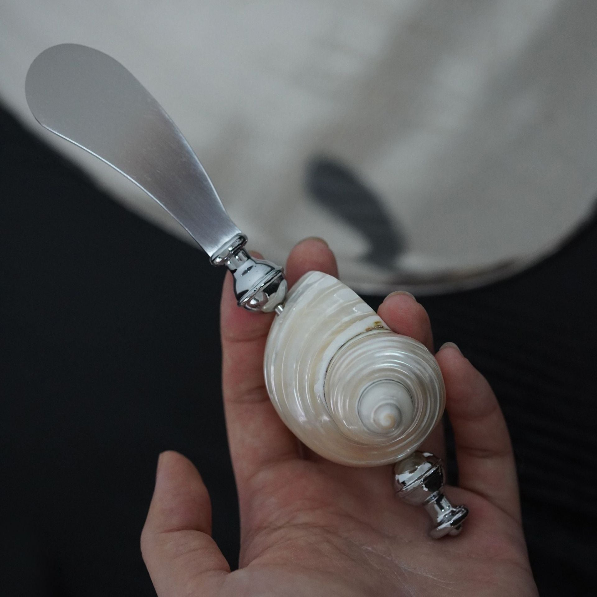 Moonlight Pearl White Conch Stainless Steel Fork Spoon Butter Knife Tableware Creative Niche Gift