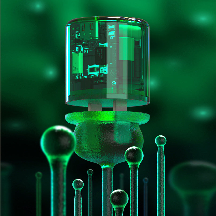 Mushroom GaN Charger Supports Fast Charging