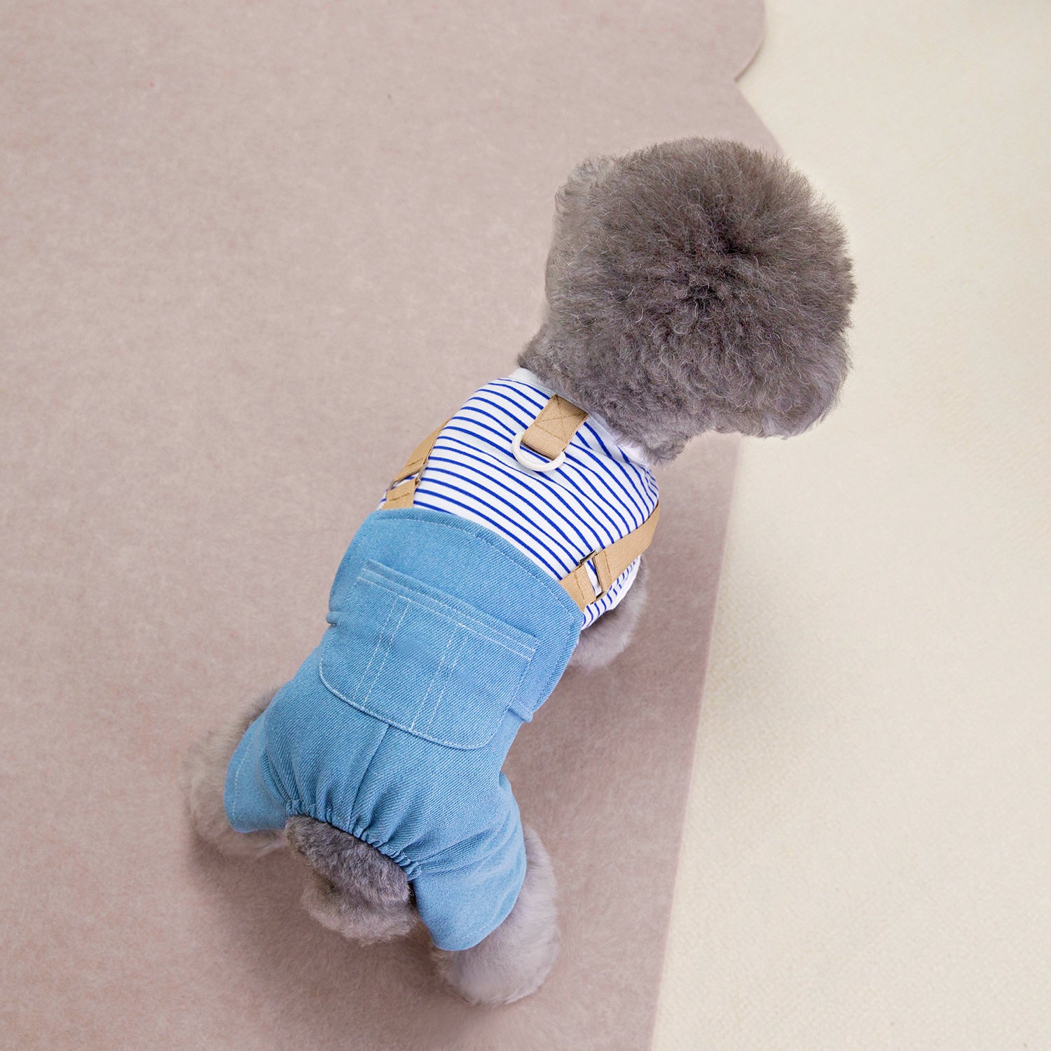Pantalon à quatre pattes en jean pour chien, style personnalisé