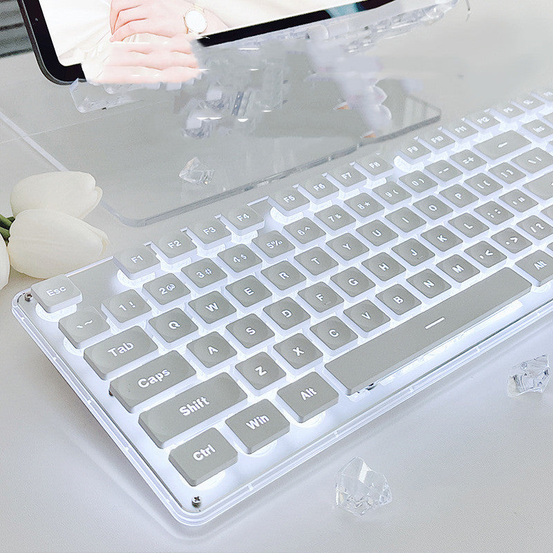 Home Office Fashion Silent Wired Mechanical Keyboard