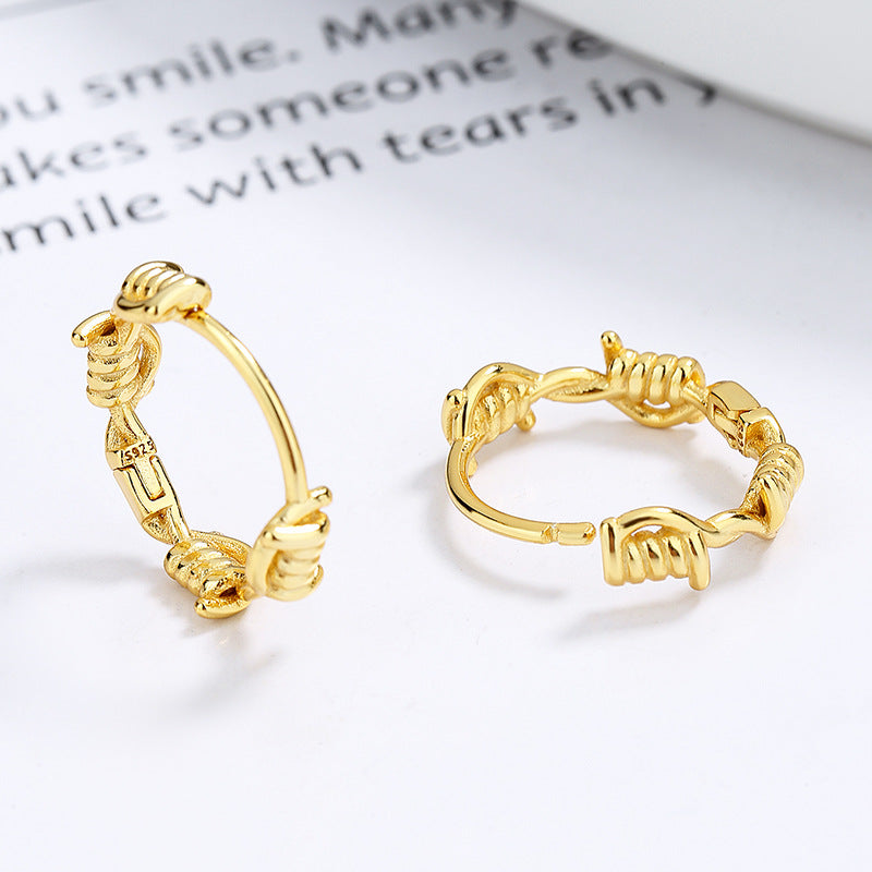 Sterling Silver Fashion Niche Design Earrings
