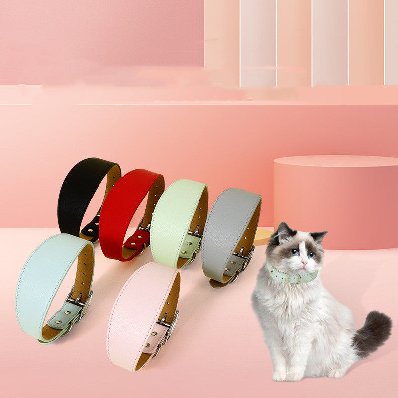 New Pet Casual Adjustable Collar