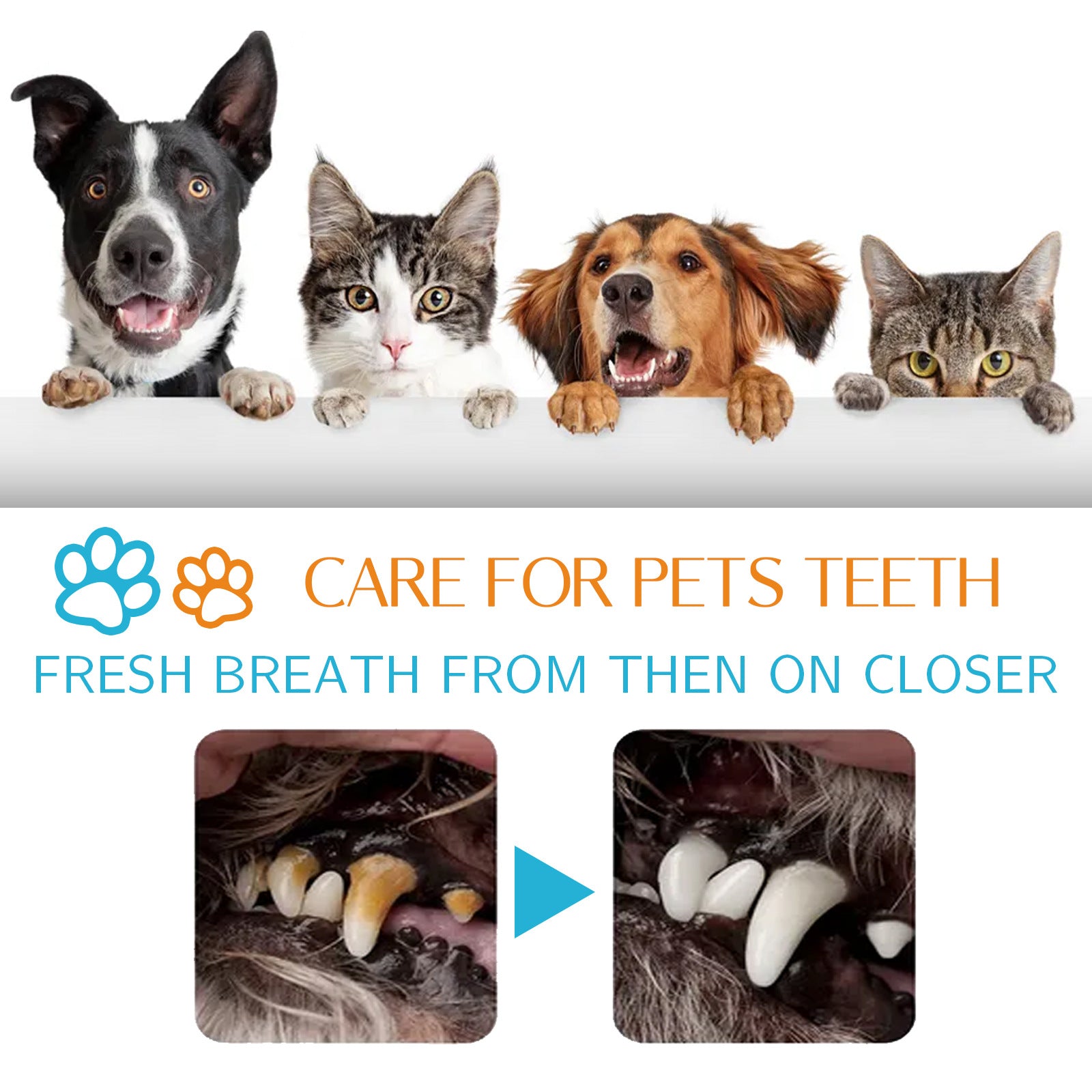 Dog Cat Teeth Cleaning Finger Stall Pet Teeth Cleaning