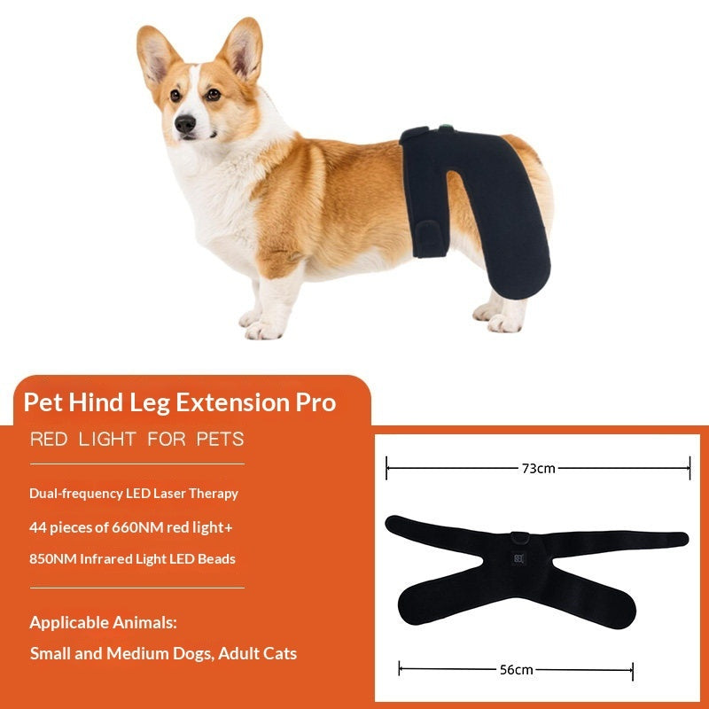 Pet Red Light Physiotherapy Mat For Post-Surgery Recovery Pain Relief And Spinal Care In Cats And Dogs