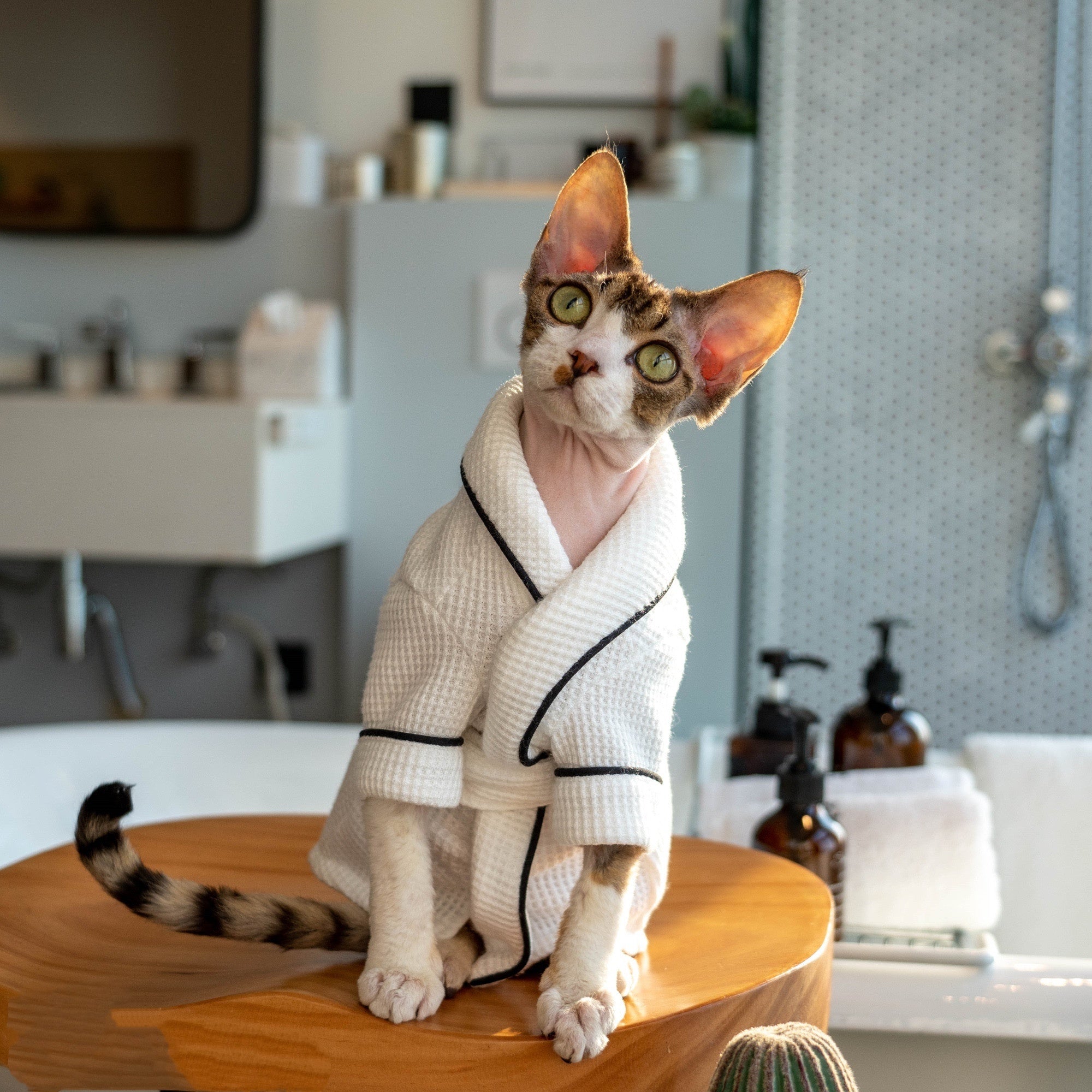 Pet Bathrobe And Bath Towelsoft And Highly Absorbent