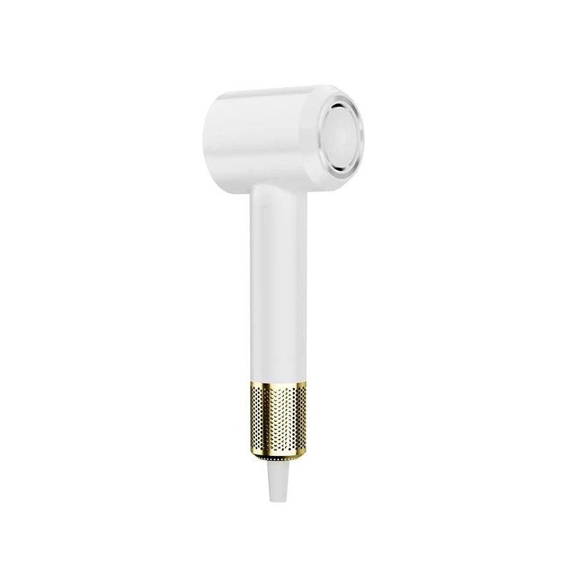 Mute Hair Dryer Anion Electric Blower Household High Speed