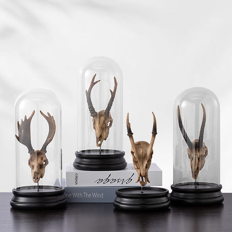 Simple Modern Animal Bone Fossil Bone Creative Personalized Decorations
