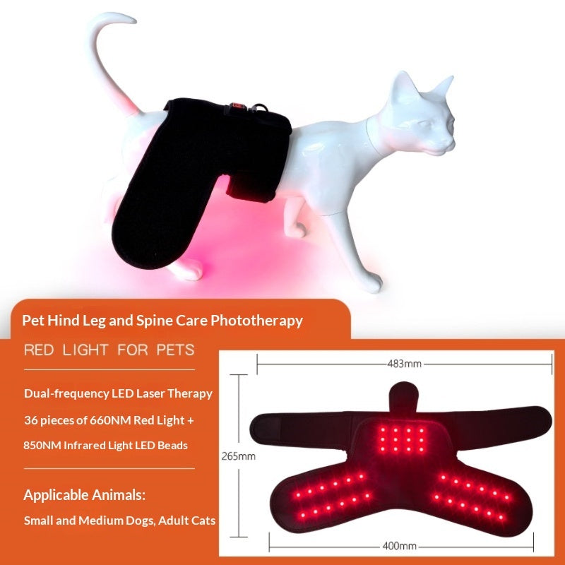 Pet Red Light Physiotherapy Mat For Post-Surgery Recovery Pain Relief And Spinal Care In Cats And Dogs