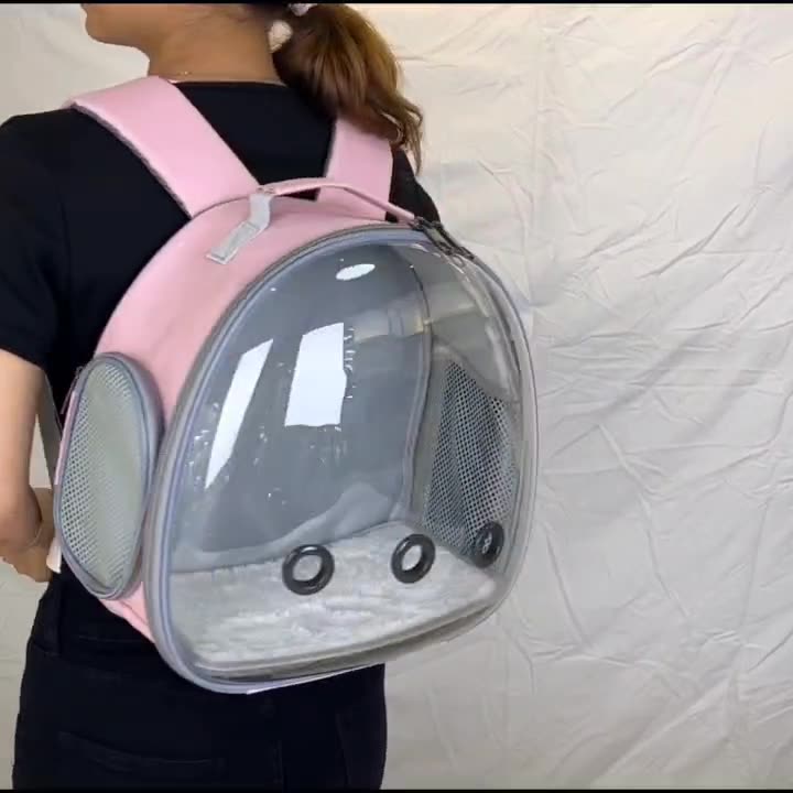 Sac à dos de transport pour animaux de compagnie, sac à dos transparent pour petit animal, sac de transport pour hamster, cochon d'Inde, écureuil volant, furet, lapin
