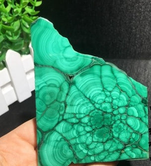 Natural Malachite Green Grinding Slice Mineral Specimen Ornamental Stone