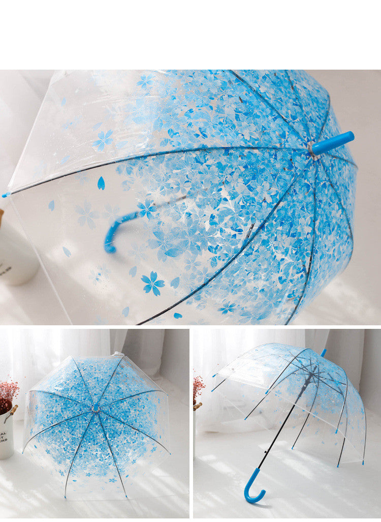 Long Handle Automatic Transparent Umbrella Female Creative Small Fresh