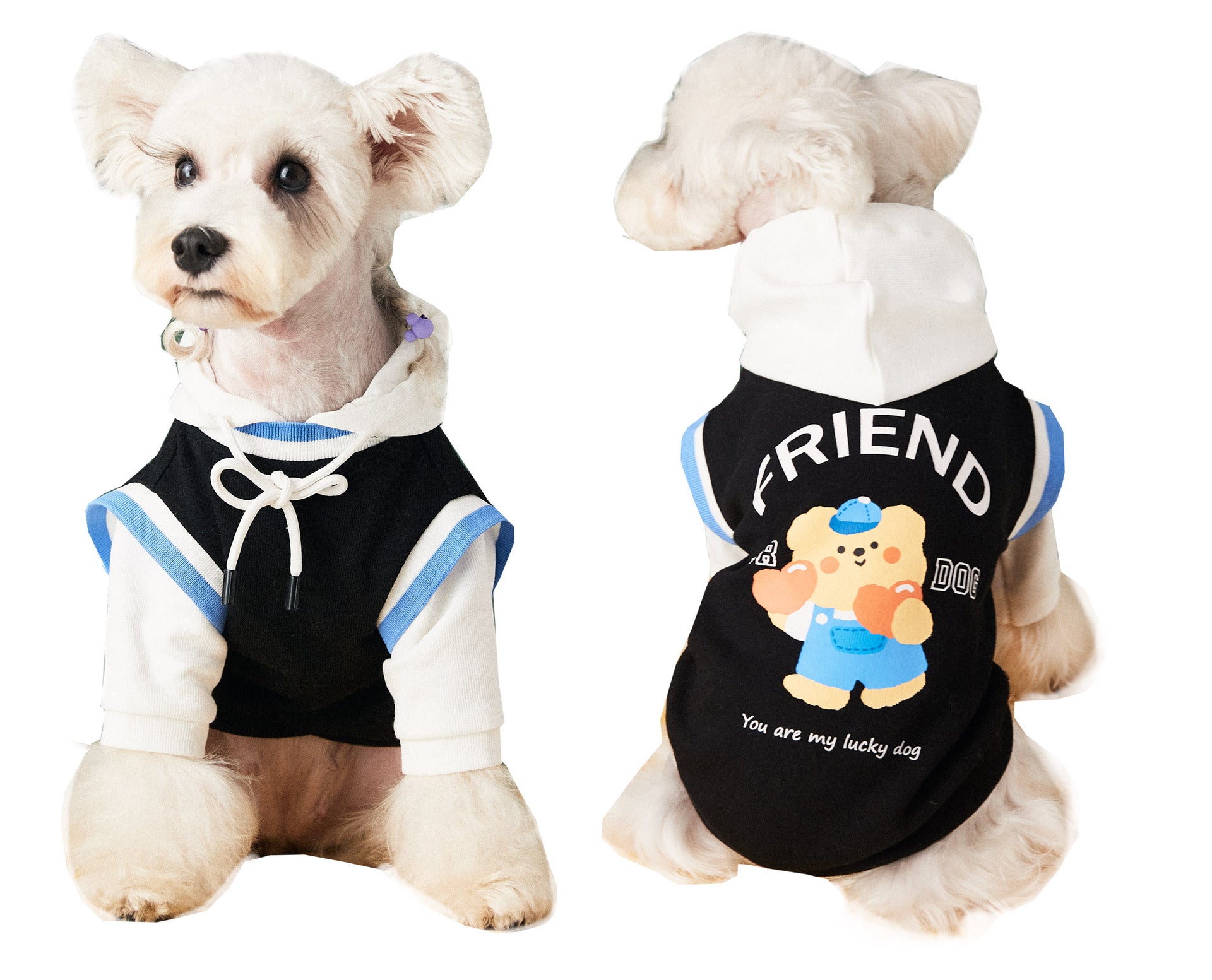 Pull pour animaux de compagnie style deux pièces fantaisie avec coutures contrastées