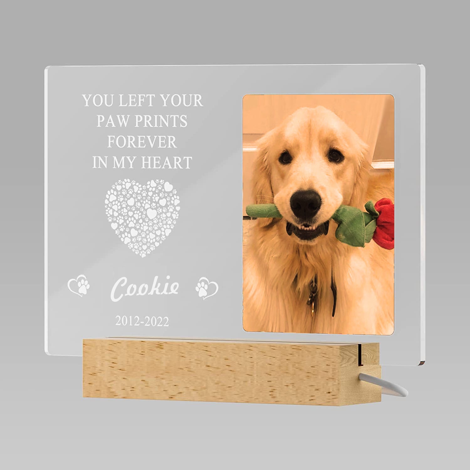 Dog Commemorative Photo Frame Night Light