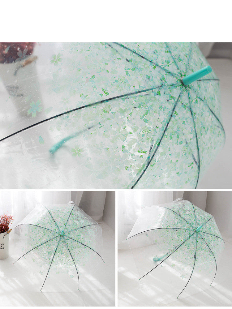 Long Handle Automatic Transparent Umbrella Female Creative Small Fresh