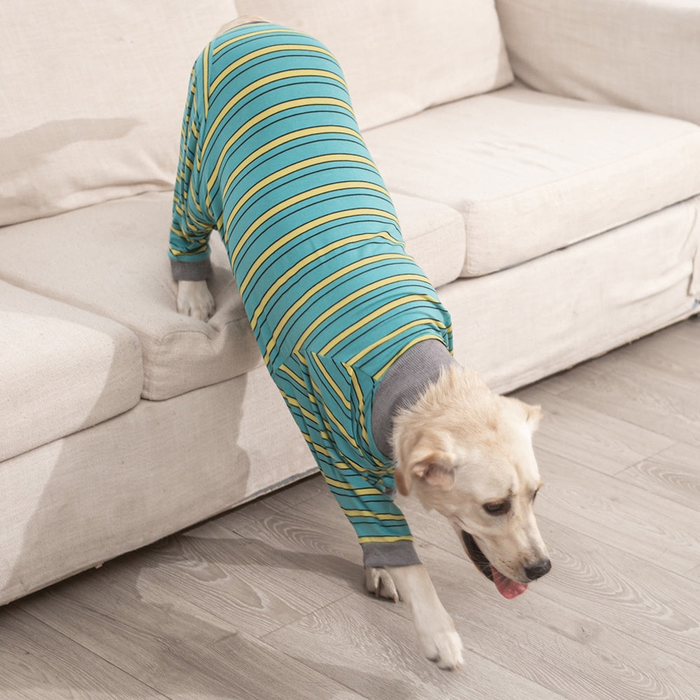 Pet Dog Home Sterilization Clothes