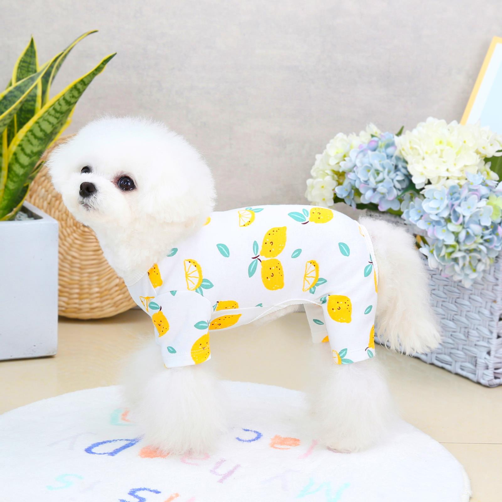 Fashion Casual Pet Four-leg Clothing