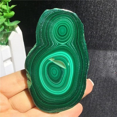 Natural Malachite Green Grinding Slice Mineral Specimen Ornamental Stone