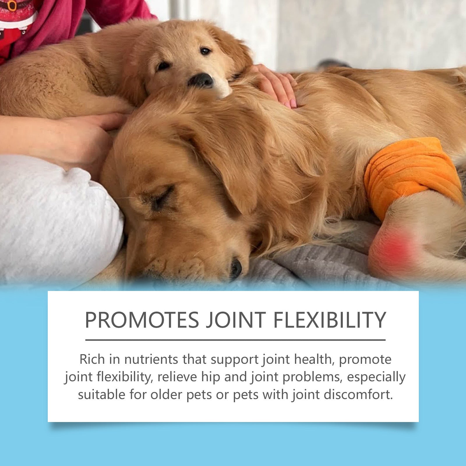 Pet Care Drops Enhance Immunity Dog Nutrition Supplement For Cats