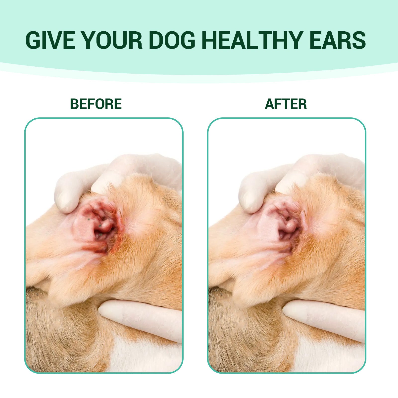 Pet Ear Cleaning Liquid 60ml