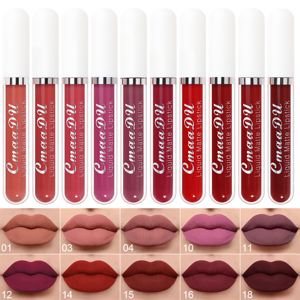 10 PCs Matte Long Lasting Waterproof Lip Gloss